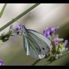 20150712_0001